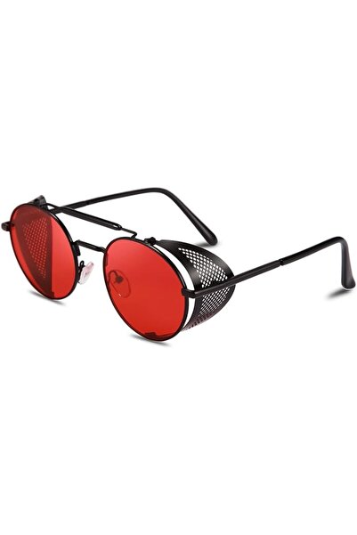 FEISEDY Steam Punk Sunglasses for Men Women Side Shield Round Steampunk Vinta...