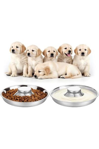 KASTWAVE 2-Pack Litter Feeding Station for Puppies and Kittens, Stainless Ste...