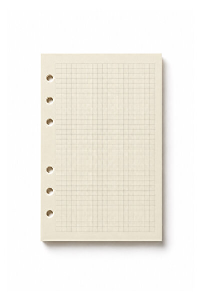 Victoria's Journals Organizer Refill Notebook Checkered 13X18