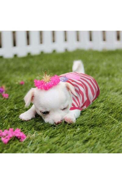 Arabest dog-clothes