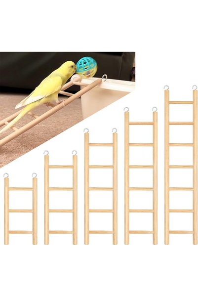 TERRIFI Wooden Bird Ladder Set of 5 Sizes, Climbing Bridge with Stainless Ste...