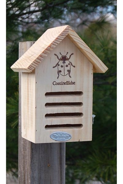Esschert Design Căsuță din lemn pentru buburuze DECORAȚIE DE GRĂDINĂ Căsuță h...