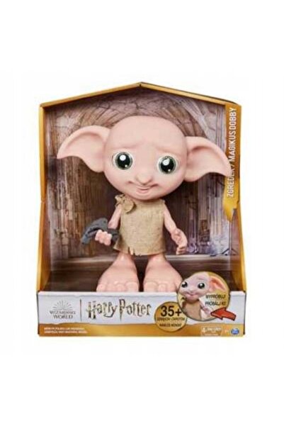 Spin Master Toys Far East Jucării educative