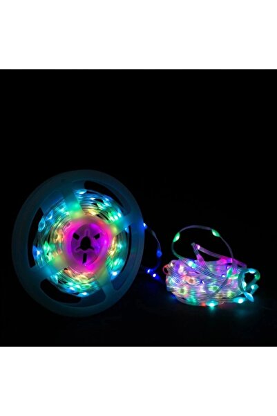 ecolight Ghirlande luminoase LED de Crăciun pentru exterior, ghirlandă lumino...