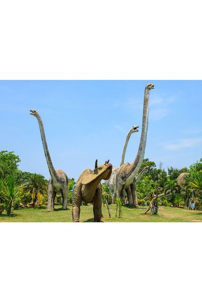 VIODESIGN Fototapet Copii, autoadeziv, Dinozauri , multicolor, 80x120 cm CO566