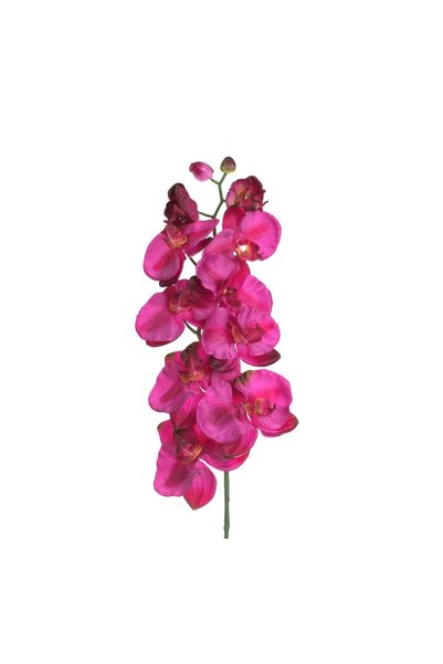 OEM Floare Artificială cu Tulpina Lunga Orhidee Fucsia 100 cm – Decor Realist...