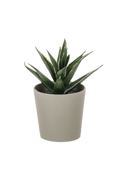 OEM Ghiveci Decorativ din Plastic cu Cactus Artificial Ø6x8.5 cm – Decor Real...