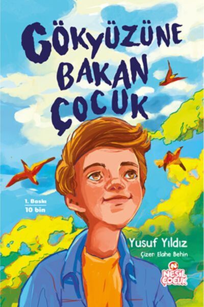 ARNEER Gökyüzüne Bakan