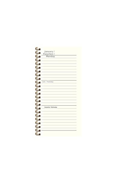 KESKİN COLOR Agenda de buzunar spiralată Sharp 2027-8*16 săptămânală - linie