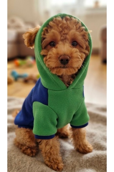 atelyu kedi köpek kıyafeti sweatshirt
