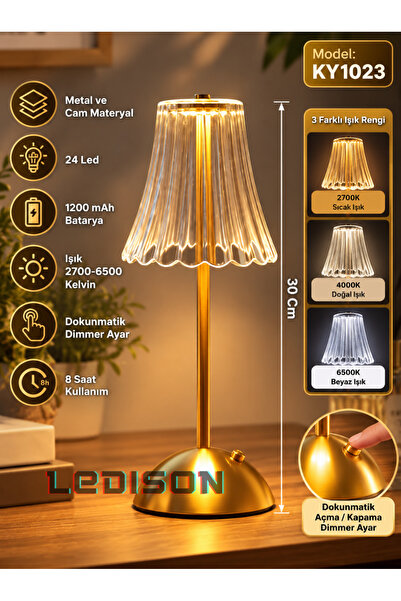 ledison Şık Dekoratif Led Masa Lambası