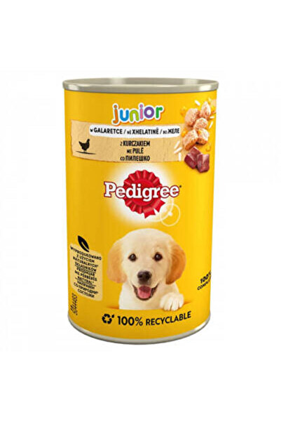 ARNEER Junior Tavuklu Soslu Yavru Köpek Konservesi 400 Gr