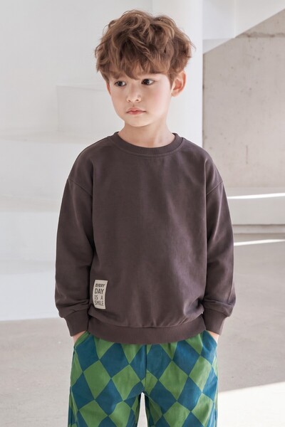 Cigit Etiket Detaylı İnce Mevsimlik Sweatshirt 2-10 Yaş Kahverengi