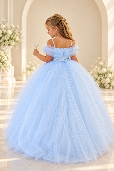black white wedding Girl's Princess Cinderella Costume - Blue