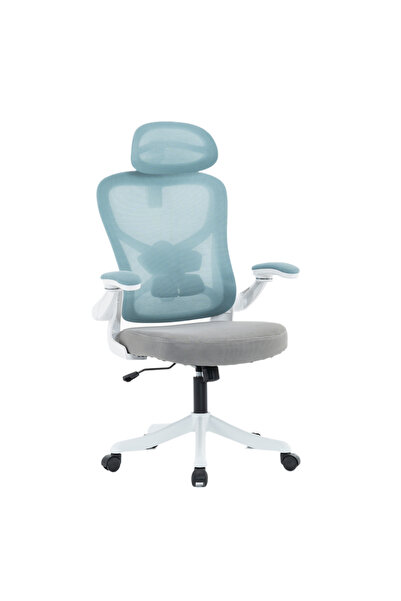 RFAN Scaun de birou, WF-005, albastru/gri