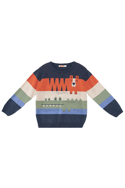 Denokids Animals Boys' Sweater
