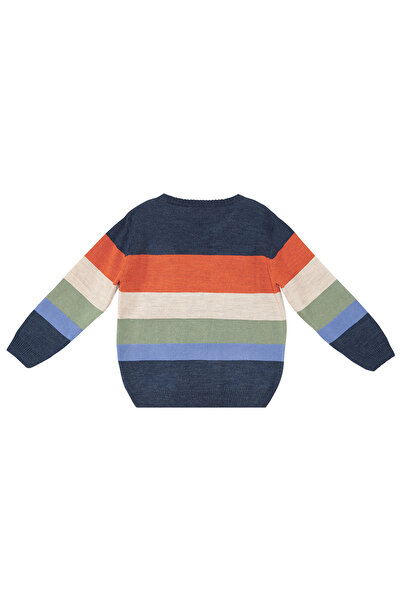 Denokids Animals Boys' Sweater