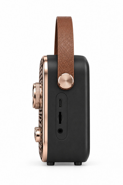 Platoon PL-4641 Bluetooth, SD, USB Girişli Bluetooth Destekli Type-C Speaker