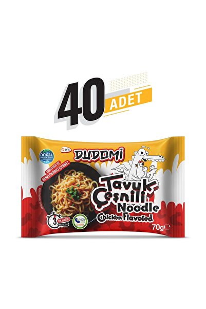 DUDOMİ Tavuk Çeşnili Noodle Poşet 70 Gr.