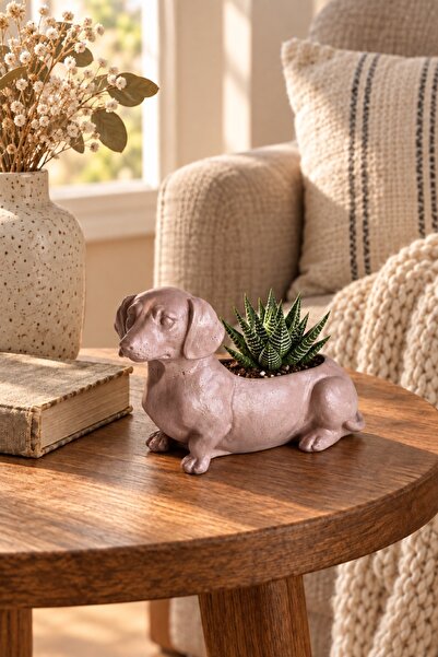 Genel Markalar El Emeği Dachshund Sosis Köpek Figürlü Dekoratif Sukulent Saks...