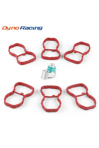 Choice Intake Manifold Swirl Flap Blanking Plug + Gasket Set Kit for BMW N57N...