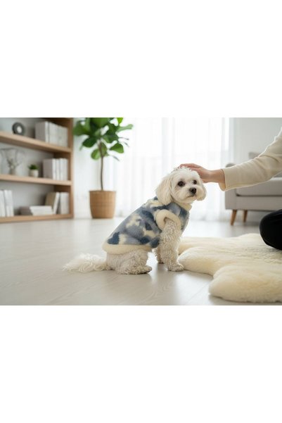 Barneystore Kedi Köpek Peluşlu Kazak