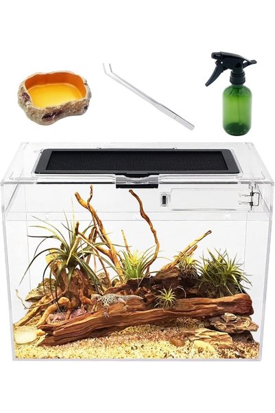 Reptile Growth Mini Reptile PC Terrarium,12" x 7"x 9" Reptile Tank with Full ...