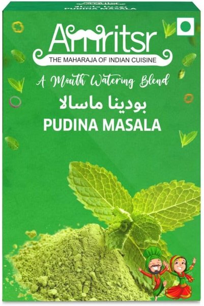 AMRITSR SPICES Amritsr Pudina Masala 100 g