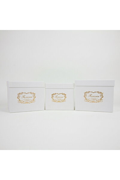 Jardin Set 3 Square Boxes with Logo for Flowers H16-H18