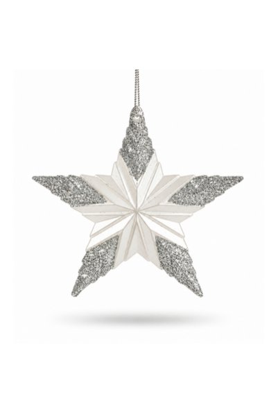 Noname Decorative star white and silver 11 x 11 x 0.5 cm 1 piece