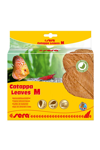 SERA Catappa Leaves (10Pcs)[Size - M]