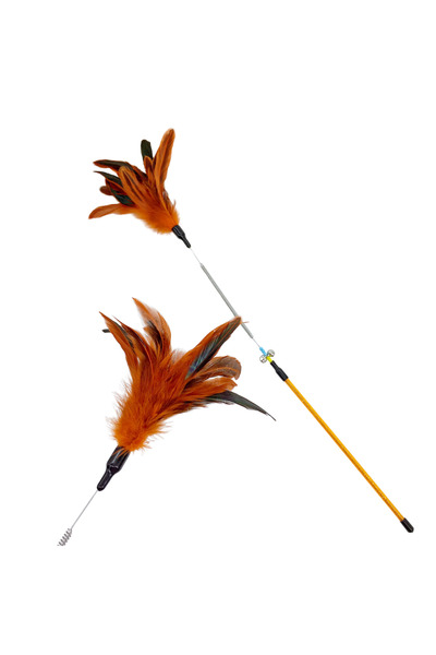 CATRY Cat Toy - JYD003-2