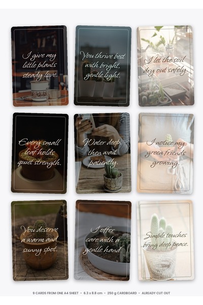OEM Carduri Afirmatii Set Ingrijirea Suculentelor, 9 Bucati, Carton 250g, 6.3...