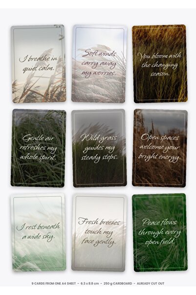OEM Affirmation Cards Meadow Breeze set, 9 cut-out cards, 250g cardboard, 6.3...