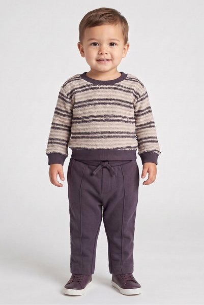 Splendid Toddlers Boy 2 Pieces Textured Sweatshirt And Pants Set, Multicolor