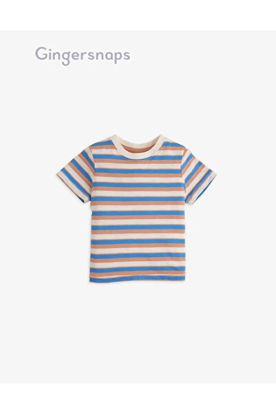 Gingersnaps Striped Baby Boys T-Shirt