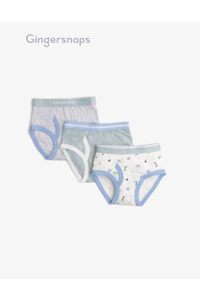 Gingersnaps Boys' Colorful Underwear
