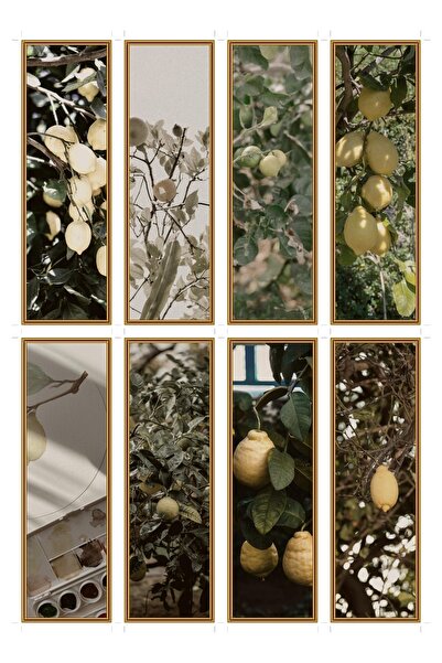 OEM Semne de Carte Set de 8 cu Tema Ramura de Lamaie, Design Elegant, Carton ...