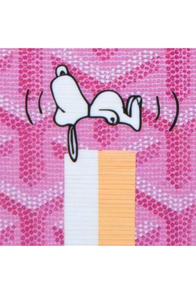 DUKKANCASE Pink Magsafe Phone Case Dk572 iPhone 18 Promax