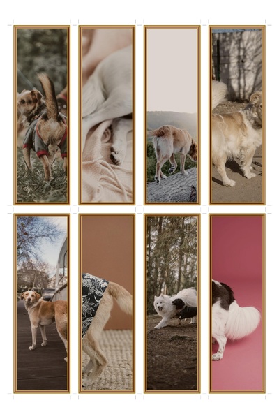 OEM Set of 8 Dog Tail Themed Bookmarks, Unique Reading Accessories, Cardboard