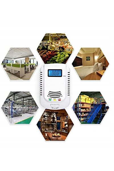 Gazex Detector de gaz CO, GPL (propan-butan) DK-25.A (alimentare: 12V CC)