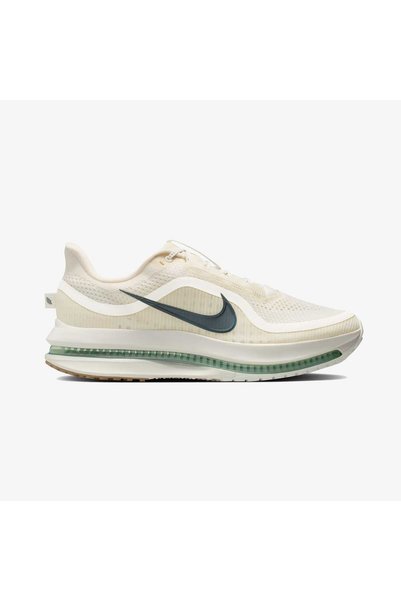 Nike Pegasusu Erkek Beyaz Koşu Ayakkabısı Juststep
