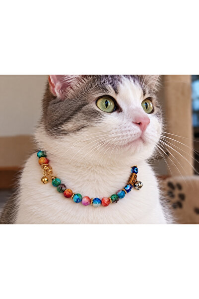 Kedi Tasması (Özel Tasarım)
