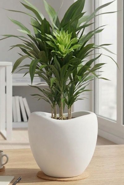 TEMMUZ HOME Lale Model Premium 15 Litre Saksı - İç ve Dış Mekan Kullanımına Uygun İçliksiz Deliksiz(İlan Saksı İçindir)