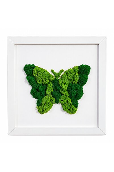 Ellis Garden Artă murală cu fluturi, cu licheni stabilizați, verde, 23 x 23 cm