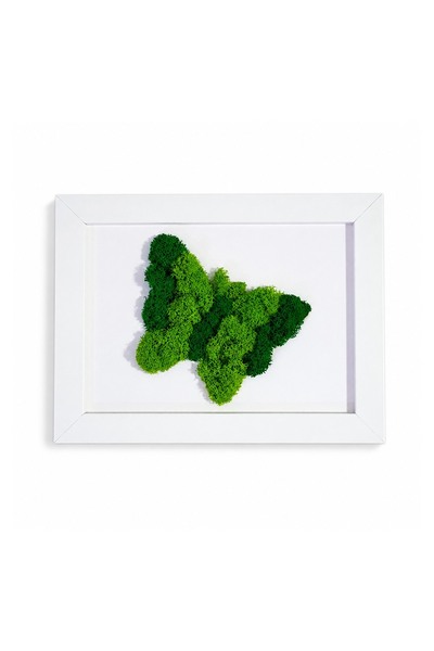 Ellis Garden Artă murală cu fluturi și licheni stabilizați, 13 x 18 cm