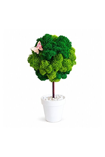 Ellis Garden Arbore decorativ cu licheni stabilizați, H18-20 cm