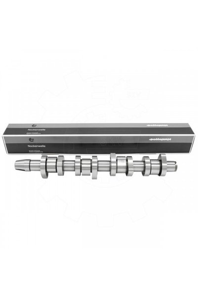 ESEN SKV Arbore cu came Audi A4 B6 B7 Passat B5.5 038109101AF