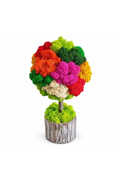Ellis Garden Copac decorativ cu licență stabilizată, H24-26 cm