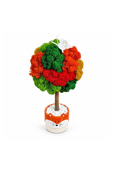 Ellis Garden Arbore decorativ 'Foxy' cu licheni stabilizați, H28 cm